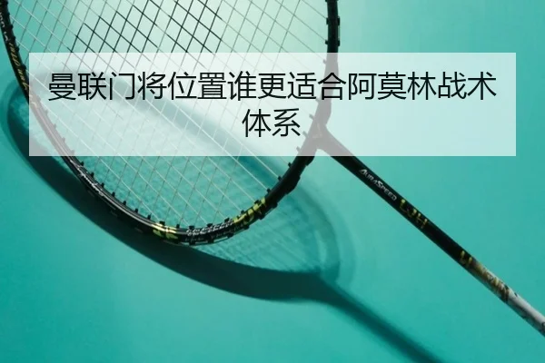 曼联门将位置谁更适合阿莫林战术体系